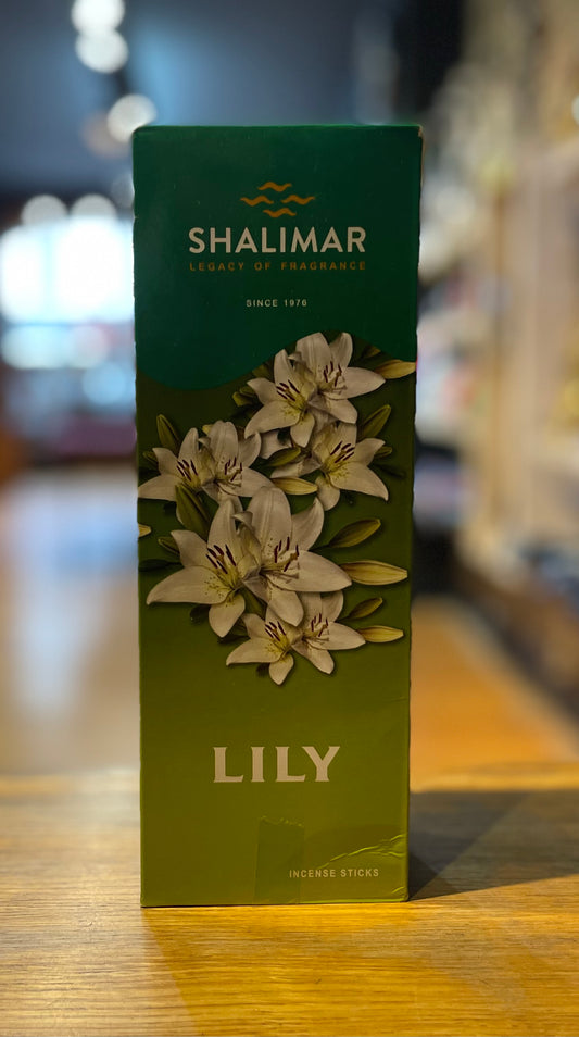 SHALIMAR Lily